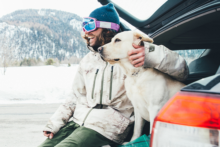 Новогодние путешествия с собакой: как сделать поездку безопасной