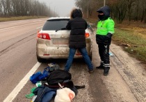 В Белгородской области на федеральной трассе "Крым" задержали водителя, перевозившего в багажнике 5 кг "синтетики"