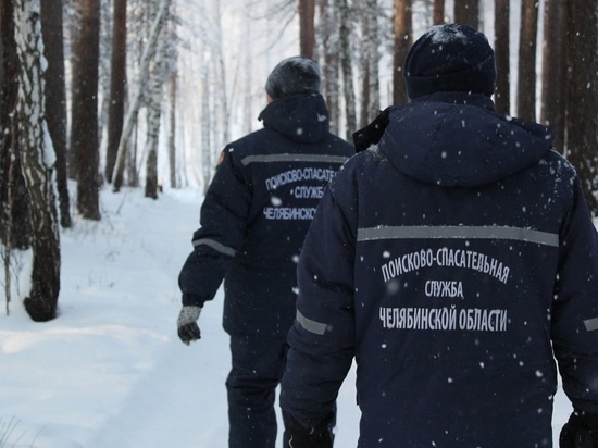 На Южном Урале пропал пенсионер с собакой