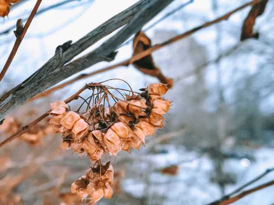 На Сахалин придет новый циклон