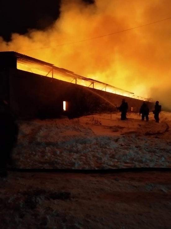 Костромские пожары: в селе Сущево сгорел склад с сеном