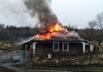 Как сообщили сегодня пресс-службе МЧС ЛНР, накануне днем в поселке Золотой-5 произошло возгорание хозпостройки во дворе жилого двухэтажного дома