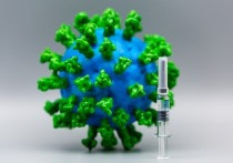 Специалисты поставили точку в вопросе на тему, какую паузу выдерживать между прививками от COVID-19 и от гриппа