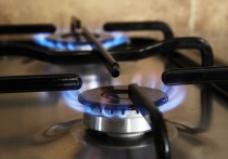 В украинской компании «Нафтогаз» объявили, что не смогут удержать тарифы на газ для граждан страны из-за подорожания топлива на рынке Европы