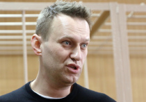 Песков ответил на вопрос о возможности помилования Навального