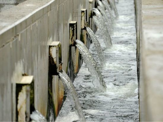 Власти Калининградской области запланировали на 2022 год работы по расчистке водоемов
