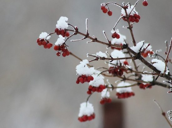 18 декабря в Белгородской области ожидаются снег, туман и гололедица