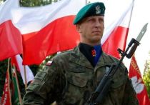В отношении военнослужащего Войска Польского, бежавшего в Белоруссию, будет возбуждено уголовное дело по статье за дезертирство