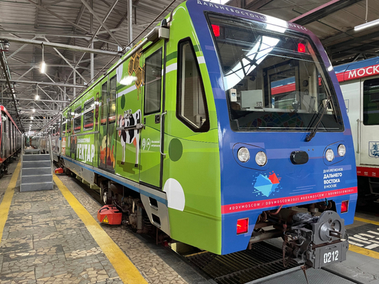 Пассажиры московского метро читают про хабаровскую уху и буузы