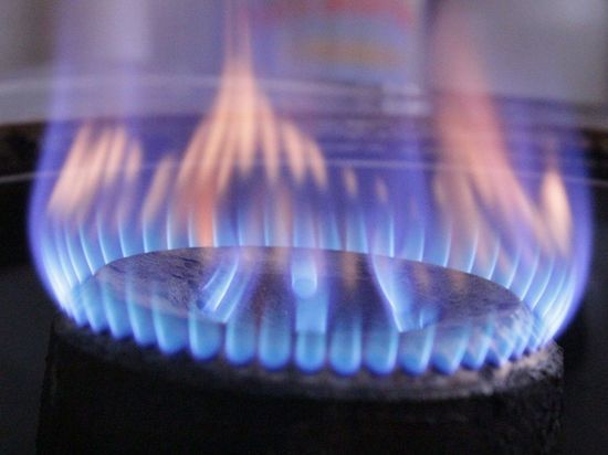 В Ленобласти забыли газифицировать деревню и попали под статью о халатности