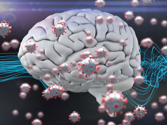 Нейробиолог рассказал, чем грозит коронавирус головному мозгу