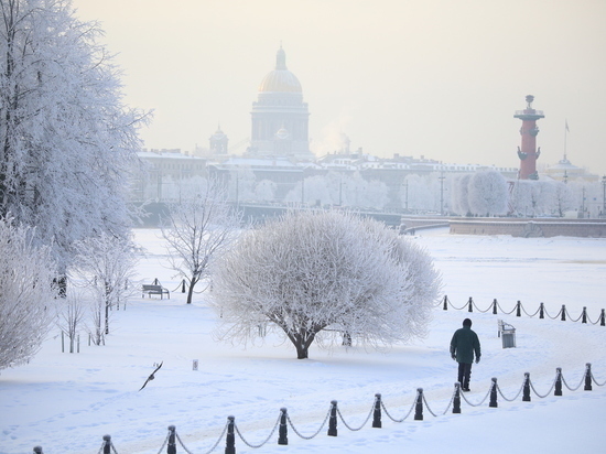  В Петербурге из-за внимания к экологии сорвалась уборка снега