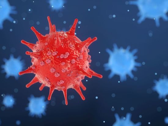 Число заболевших коронавирусом калининградцев составило 187 в минувшие сутки