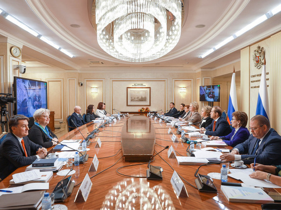 Губернатор Пензенской области выступил с докладом на заседании Совета при Президенте РФ