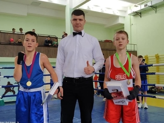 В ДНР прошел юношеский турнир по боксу: ФОТО