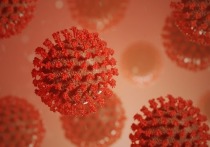 Второй год подряд во время пандемии COVID, похоже, вытесняет сезонный грипп