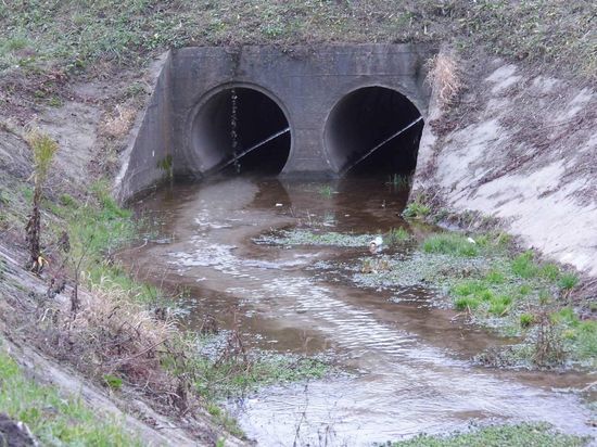 Инспекторы выявили более 130 незаконных стоков в водоемы Калининграда в 2021 году