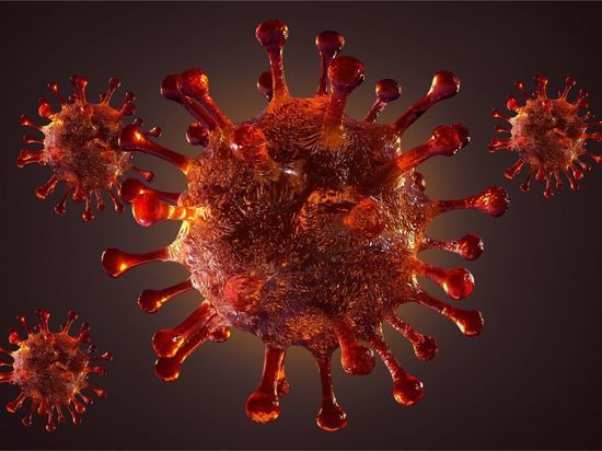  Число инфицированных коронавирусом калининградцев составило 189 за сутки