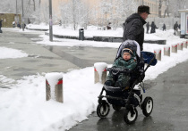 Ведущий сотрудник центра погоды "Фобос" Евгений Тишковец сообщил, что "полярное вторжение" принесет в Москву 20-градусные морозы