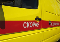 Женщина и ее семилетний сын погибли 19 декабря при пожаре в жилом доме в СНТ «Дружба» в городском округе Пушкинский