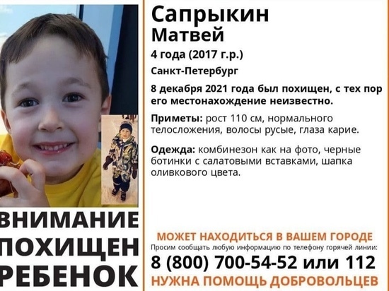 Похищенного отцом 4-летнего ребенка продолжают искать в Псковской области