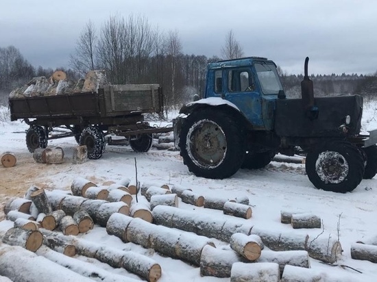 В Тверской области мужчина воровал древесину на незарегистрированном тракторе