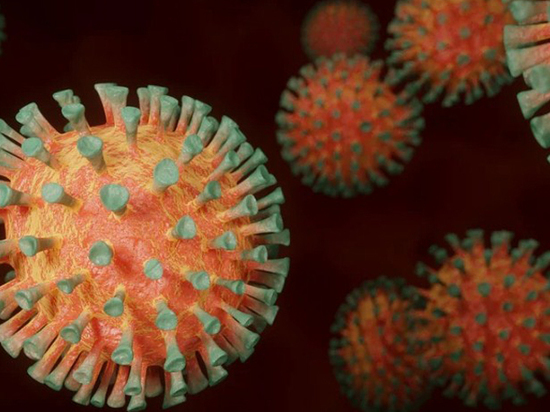 Тульские медики, работающие с коронавирусом  в Новый год, получат дополнительные выходные
