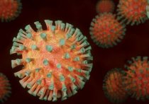 Ведущий американский инфекционист Энтони Фаучи заявил в интервью телеканалу CNN, что в ближайшее время штамм коронавируса "Омикрон" станет превалирующим в США, а система здравоохранения и без того перенапряжена штаммом "Дельта"