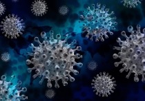 Медики за последние сутки выявили коронавирус ещё у 261 жителя Забайкальского края