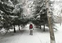Погода 31 декабря во Владивостоке не принесет радости приморчанам - тенденция к холоду сохранится