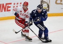Бывший глава правительства Финляндии Александр Стубб возмутился решением российской хоккейной сборной сыграть с финнами в форме СССР