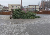 На днях в Астрахани завершилась подготовка областного центра к празднованию Нового года
