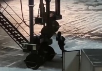 На видео, которое было опубликовано в Telegram, грузчики бросают не багаж пассажиров, а бортовое имущество