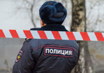 Самодельная бомба, найденная в подъезде дома на северо-востоке Москвы, скорее всего, предназначалась закладчикам наркотиков