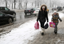 В департаменте образования и науки города Москвы сообщили, что если в середине недели температура в Москве опустится до -25 градусов, то дошкольники и учащиеся начальных классов могут не посещать образовательную организацию