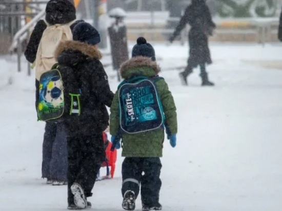 В Ярославле школьникам могут дать «морозные каникулы»