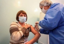 В ДНР уже более 275 тысяч граждан получили дозу вакцины против коронавирусной, сообщает Минздрав республики