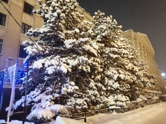 Погода на новогодние праздники 2022 в Хабаровске ожидается не самая теплая