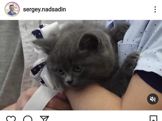Мэр Южно-Сахалинска подарил котенка детям-волонтерам