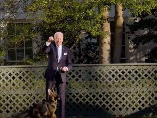 Байден завел нового щенка немецкой овчарки