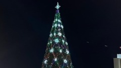 Главная елка Владивостока открывает дверь для новогоднего настроения