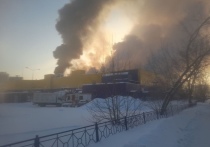 Пожар начался на улице Елизаровых приблизительно 15 минут назад.