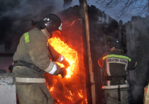 Как сообщили сегодня в пресс-службе МЧС ДНР, спасателями пожарно-спасательного отряда Горловки было потушен крупный пожар в Калининском районе города