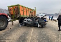 С января по ноябрь на автодорогах федерального и регионального значения в Марий Эл зарегистрировано 225 ДТП с пострадавшими.