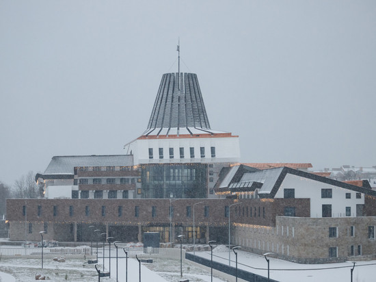 В Пскове заморозили строительство студенческого кампуса