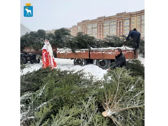 Во дворах Йошкар-Олы появятся 140 новогодних елок