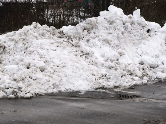 Администрация Калининграда планирует закупить снегоплавильные машины