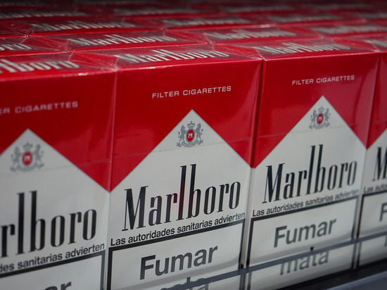 В Смоленской области уничтожат более полумиллиона «серых» пачек сигарет