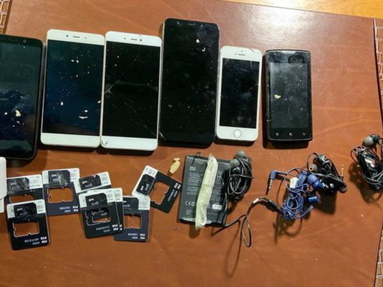 Жителя Сафоново поймали на контрабанде смартфонов в колонию