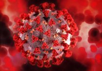 Медики за последние сутки выявили коронавирус ещё у 240 жителей Забайкальского края